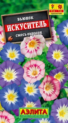 Комплект семян Вьюнок Синее знамя однолет. х 3 шт. — купить в  интернет-магазине по низкой цене на Яндекс Маркете