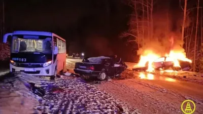 Массовое ДТП на трассе М-11 под Великим Новгородом: фото и видео,  подробности, почему стоит М-11, когда откроют движение по М-11 - 26 февраля  2023 - msk1.ru