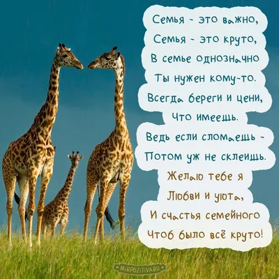 Семья — это важно, Семья — это круто, В семье однозначно Ты нужен кому-то |  Открытки, Семья иллюстрация, Праздничные плакаты