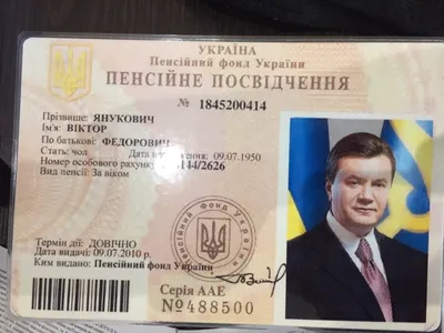 Сын экс-президента Украины Виктора Януковича решил вернуться в Донецк. У  него есть шанс многое исправить | я живу в Донецке | Дзен