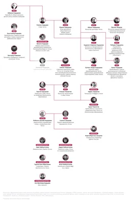 Зять Кадырова стал вице-премьером республики. Сколько еще его родственников  в правительстве Чечни - Газета.Ru