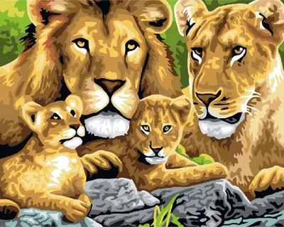 Купить картина по номерам Paintboy Семейство львов, 40x50 см, цены на  Мегамаркет | Артикул: 600000325127