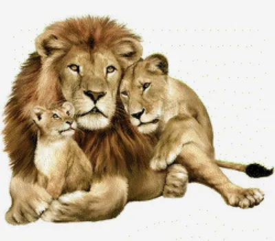 Схема вышивки «семья львов» (№1047316) - Вышивка крестом