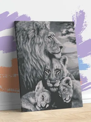 Семья Льва — стоковые фотографии и другие картинки Большой - Большой, Стая  львов, Лев - iStock