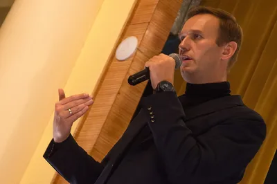 Триумфальная» победа фильма про Навального на «Оскаре» | Поклонники  Михалкова | Дзен
