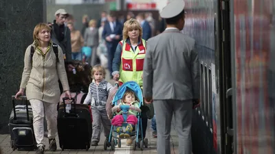 Пальма»: Человек собаке – семья - спутник телезрителя - фотографии -  Кино-Театр.Ру