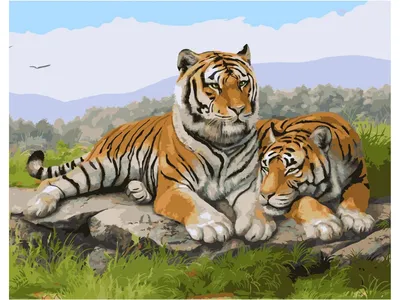 Картина по номерам \"Семья тигров\"