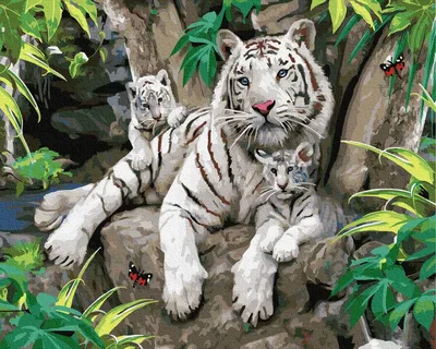 Семья тигров арт - 59 фото
