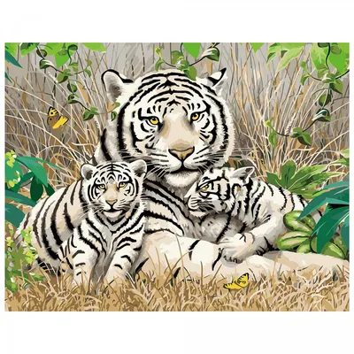 Семья тигров - 72 фото