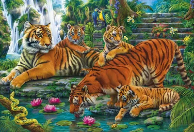 Растет тигриная семья — Издательский дом \"Биробиджан\"