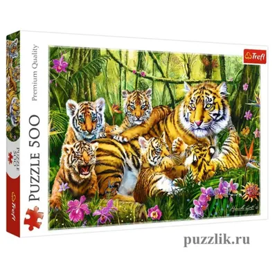 Семья тигров - живопись по номерам на подрамнике 40х50см (Azart) купить в  Минске и Беларуси за 41.37 руб.