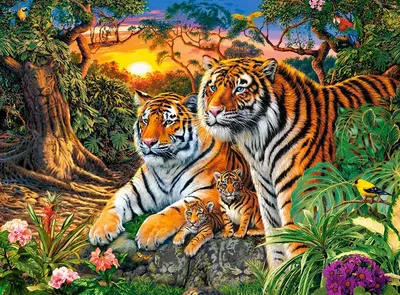 Спасли 50 хищных кошек»: Семья дрессировщика продала все имущество и теперь  живет с тиграми и львами под Выборгом, открыв для них «хоспис» - KP.RU