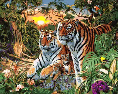 Семья тигров картинки - 65 фото