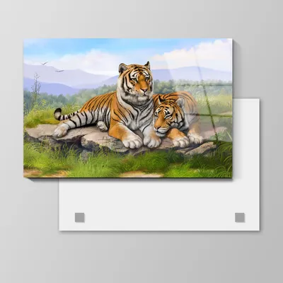 Картина по номерам: семья тигров 40*50: цена 240 грн - купить Рисование на  ИЗИ | Днепр