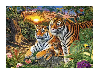 Набор фигурок животных серии «Мир диких животных»: Семья тигров, 6  предметов артикул MM201-008 купить в Москве в интернет-магазине детских  игрушек и товаров для детей
