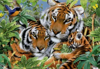 Схема вышивки «семья тигров» (№626351) - Вышивка крестом
