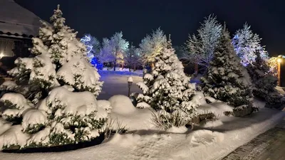 Николай Валуев остался в восторге от природы Башкирии и музейного комплекса  «Шульган-Таш»