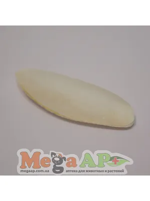 Лакомство для попугаев Versele-Laga Prestige Sepia Mineral кость каракатицы  16см