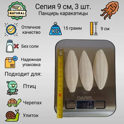 LW камень сепия для птиц с креплением, маленький в Санкт-Петербурге