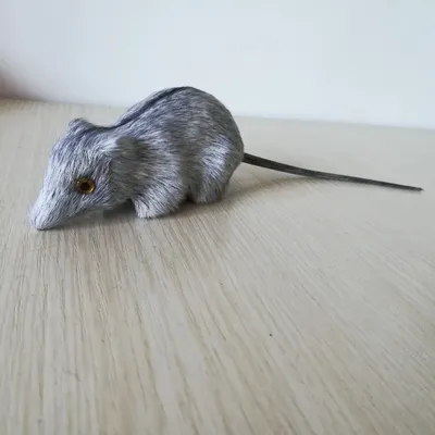 Серая мышь изолированная на белой предпосылке Стоковое Фото - изображение  насчитывающей млекопитающее, мило: 110602064