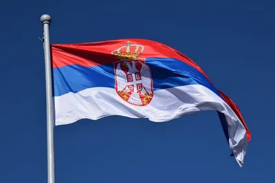 Попытка дожать уличным путем»: грозит ли Сербии цветная революция -  Газета.Ru