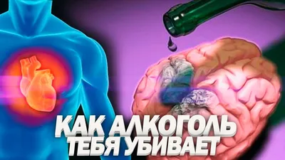 Влияние алкоголя на сердце | 11.09.2020 | Ульяновск - БезФормата