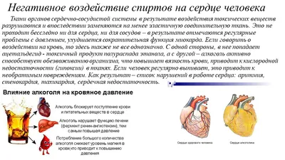 Профилактика алкоголизма - УЗ «Гродненская университетская клиника»