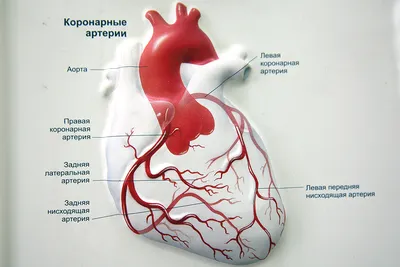 Можно ли вылечить алкоголизм? - \"ЧИСТЫЕ СЕРДЦА\" в Москве +7(495)9702980