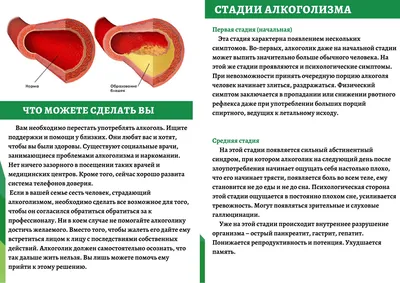 Ученые выяснили, что сердце алкоголика не подвержено хроническим  заболеваниям