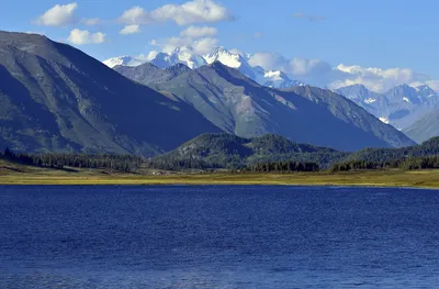 База отдыха Сердце Алтая - Алтайский край (Официальный сайт, цены, фото,  отзывы)