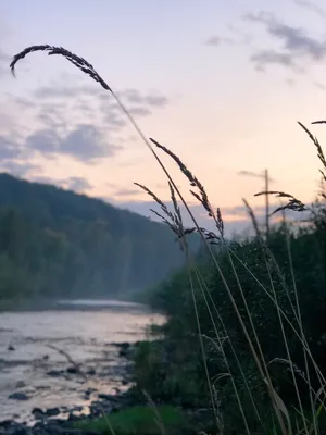 Сердце Алтая - база отдыха (турбаза) в Горном Алтае. Отзывы, фото, цены,  карта, подробное описание.