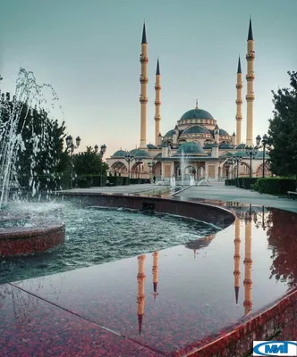 Мечеть «Сердце Чечни» досрочно победила в конкурсе «Россия 10» - Общество