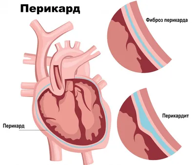 Рисунок обычное сердце - 63 фото