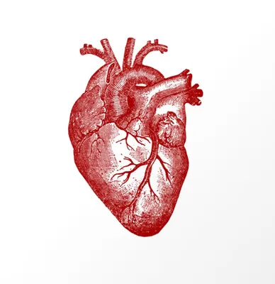 горящее сердце стоковое изображение. изображение насчитывающей символ -  18099477