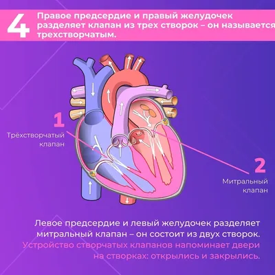 Набор для вышивания крестом PANNA Сердце из слов