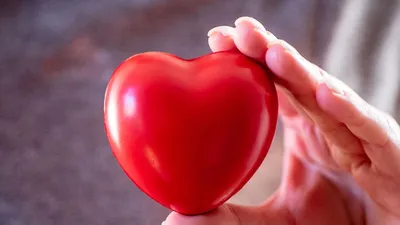 Выдолбленный орган, ремесла, скульптура красного сердца, забавная модель  сердца, украшение для рабочего стола – лучшие товары в онлайн-магазине Джум  Гик