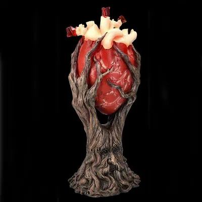 Проводящая и возбудительная система сердца - 3D-сцены - Цифровое  образование и обучение Мozaik