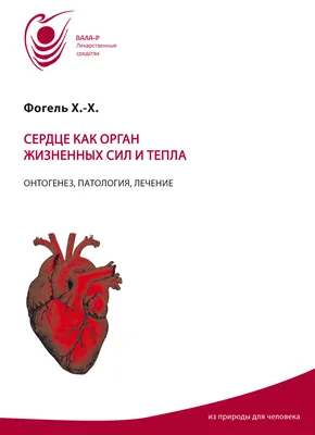 Что сердцу мило: продукты, которые защитят главный орган в нашем теле -  02.02.2023, Sputnik Казахстан