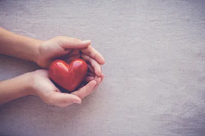 20 Фактов о Сердце | Интересные факты | Дзен