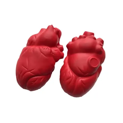 Сердце как орган жизненных сил и тепла. Онтогенез, патология, лечение,  Хайнц-Хартмут Фогель – скачать pdf на ЛитРес