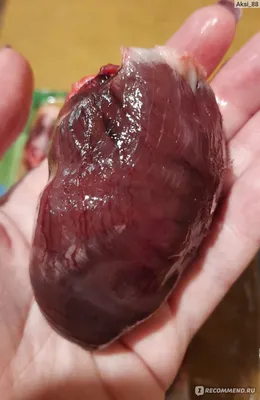 Суб-продукты Индюшкин Сердце индейки - «Первая проба сердца индейки.  Ожидала чего-то необычного, по факту необычен только размер. Рецепт шашлыка  из сердец.» | отзывы