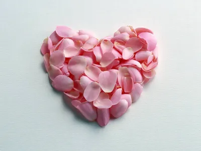 Красное сердце из лепестков роз стоковое фото ©jeka2009 140782846