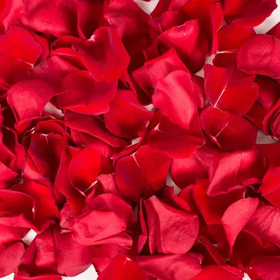 Сердце из лепестков роз обои 1920x1200.