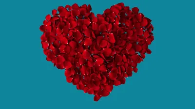 Фото День святого Валентина Сердце Розы Красный Лепестки Цветы