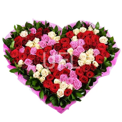 Красное сердце от роз стоковое фото. изображение насчитывающей флирта -  112131550