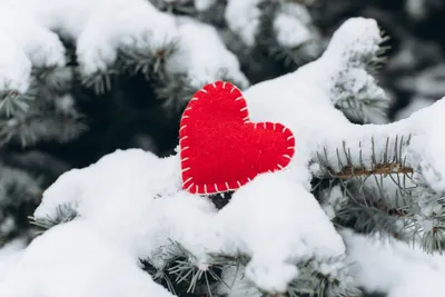 Картинки на снегу сердце (70 фото) » Картинки и статусы про окружающий мир  вокруг