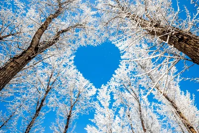сердце нарисовано на снегу, счастливый, снег, погода фон картинки и Фото  для бесплатной загрузки