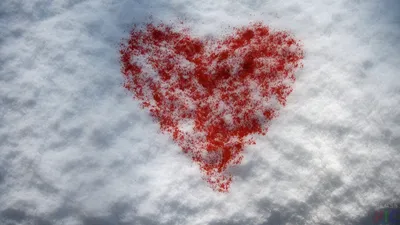 В поле под Тверью из снега слепили огромное сердце - KP.RU