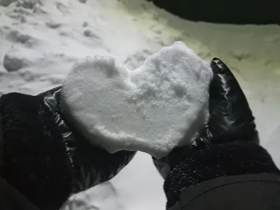Сердце На Снегу — стоковые фотографии и другие картинки Символ сердца -  Символ сердца, Белый, Ветвь - часть растения - iStock