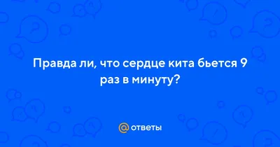 Как работает сердце человека | Консультация аритмолога в Минске DOKTORA.BY